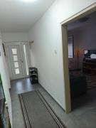 Top Pirot
