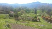 Top Mieres