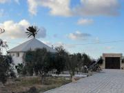 Top Houmt Souk Top Houmt Souk