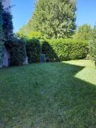 Top Fontanelle