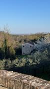 Top Capannori