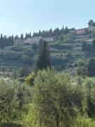 Top Spello
