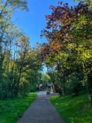 Top Burlescombe