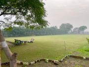 Top Gurgaon