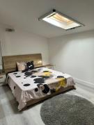 Deluxe apartment 2 rooms plavje 90a