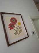 La Dimora dei Fiori Vacation Home - Sansepolcro AR