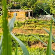 Top Làng Chiêu