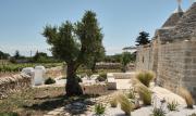 Top Martina Franca