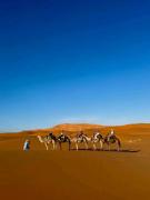 Top Merzouga