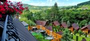 Top Solina