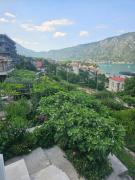 Top Kotor