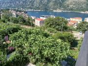 Top Kotor