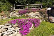 Chalet CaStanedi Valchiavenna