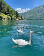 Top Acquaseria