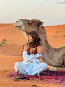 Silk Sahara Camp