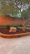 Guesthouse Tariba