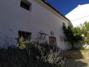 Top Fuentes de Cesna