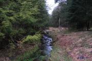 Top Blakeslee