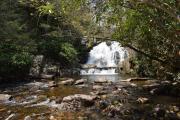 Top Blakeslee