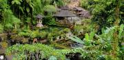 Top Tampaksiring
