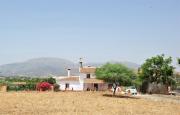 Top Alora