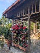 Accogliente appartamento mansardato Casa dei girasoli