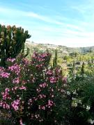 Top Calpe