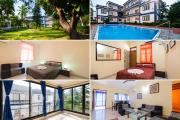 Top Calangute