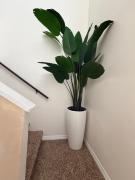 Top Kissimmee