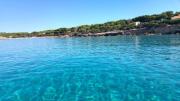Top Porto Pino
