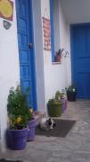 Top Skopelos Town