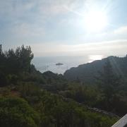 Top Antípaxos
