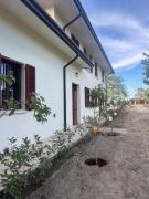 B&B La Vigna dei Fratelli