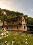 Cabana Din Pădure