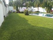 Top Temixco