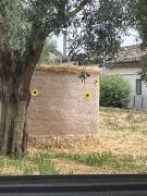 Top Chiaramonte Gulfi