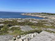 Top Onsala