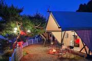 Nami Island Best Camping
