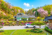 Gangchon White House in the Forest