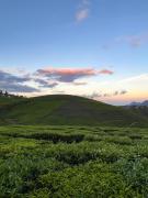 Top AravankÄdu Top AravankÄdu