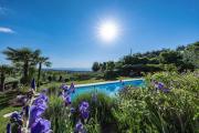 Top Lazise