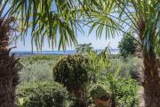 Top Lazise