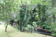 Top Paredes de Coura