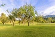 3 Rivers Camping pitches - bring your own tent or camper & Glamping hut, tent