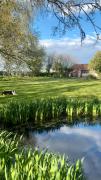 Top East Dereham