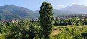 Top Bitola