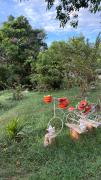 Top Girardot