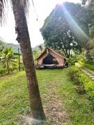 Hen Camping- Coffee --------- Free if you have tent