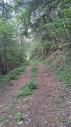 Top Le Lauzet-Ubaye