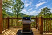 Top Pigeon Forge
